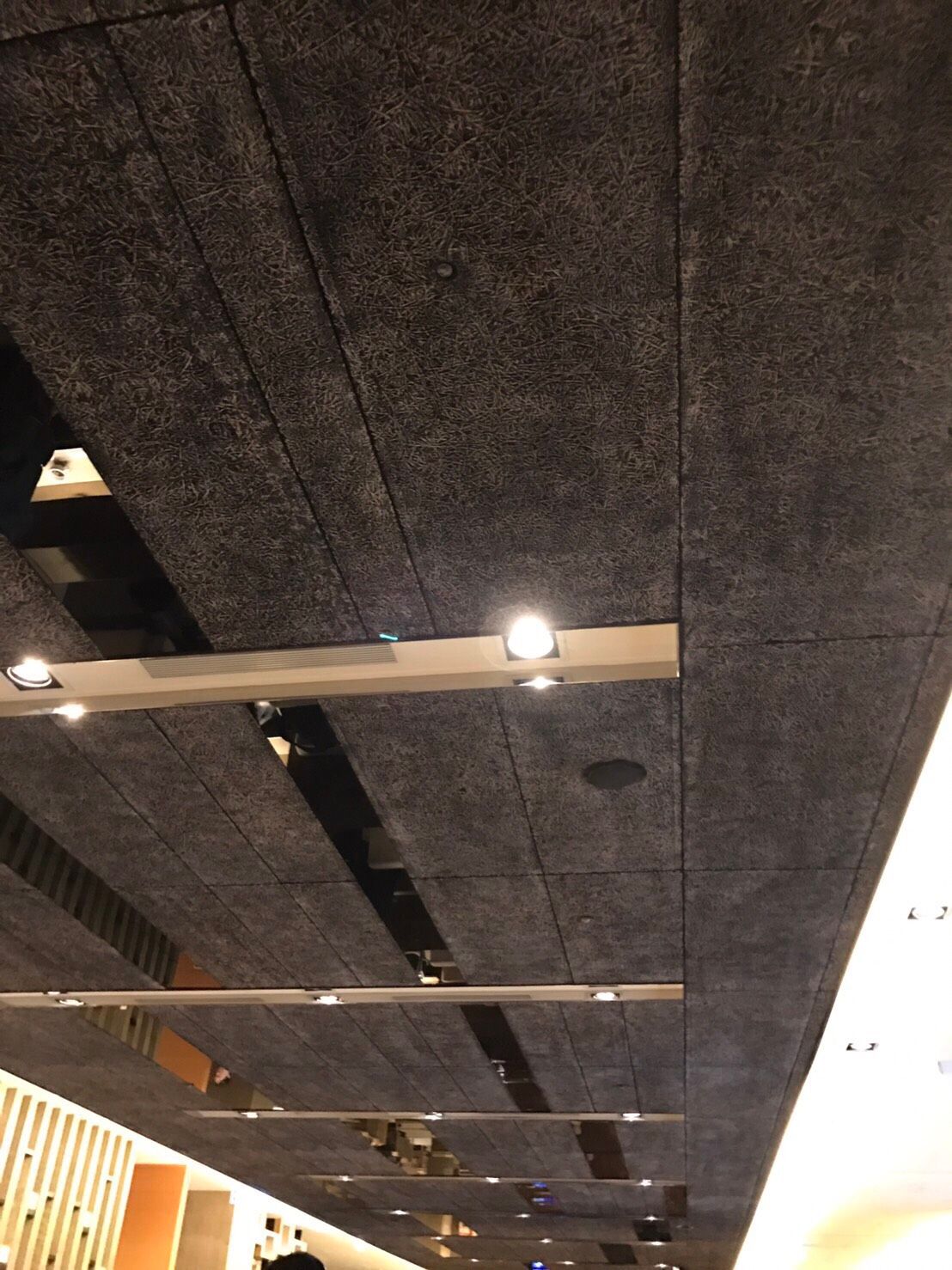 天花板應用2.jpg