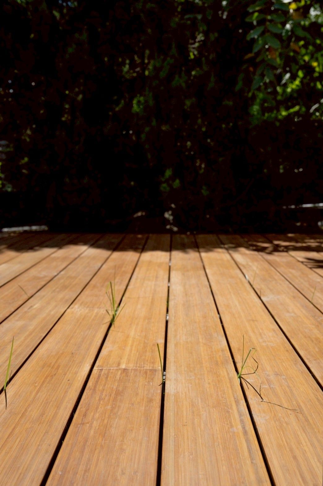 LINE_ALBUM_民主小屋（竹地板） 0822_250904_3.jpg